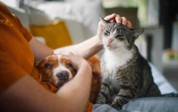 Legame persone animali non e semplice convivenza ecco leffetto pawsitivity che fa bene alla salute mentale 364x230