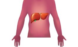 Malattie autoimmuni del fegato nuova strategia con nanovettori in studio italiano 265x160