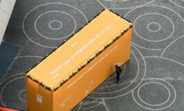 Malattie renali rare a Milano Citylife installazione per ‘guardarle da vicino 265x160