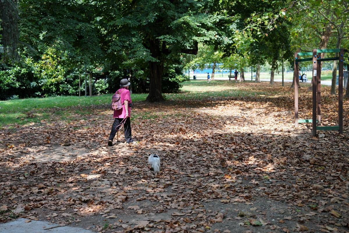 Oktoberwetter, Oktoberzeit erobert Italien: Sonnenschein und Temperaturen bis zu 29°C.