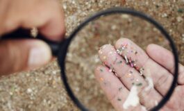 Microplastiche e salute della donna Fondazione Sigo avvia percorso informativo 265x160