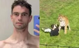 Morto dopo essere stato aggredito da una tigre in un parco identificata la vittima chi era William Chapman 265x160