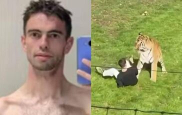Morto dopo essere stato aggredito da una tigre in un parco identificata la vittima chi era William Chapman 364x230