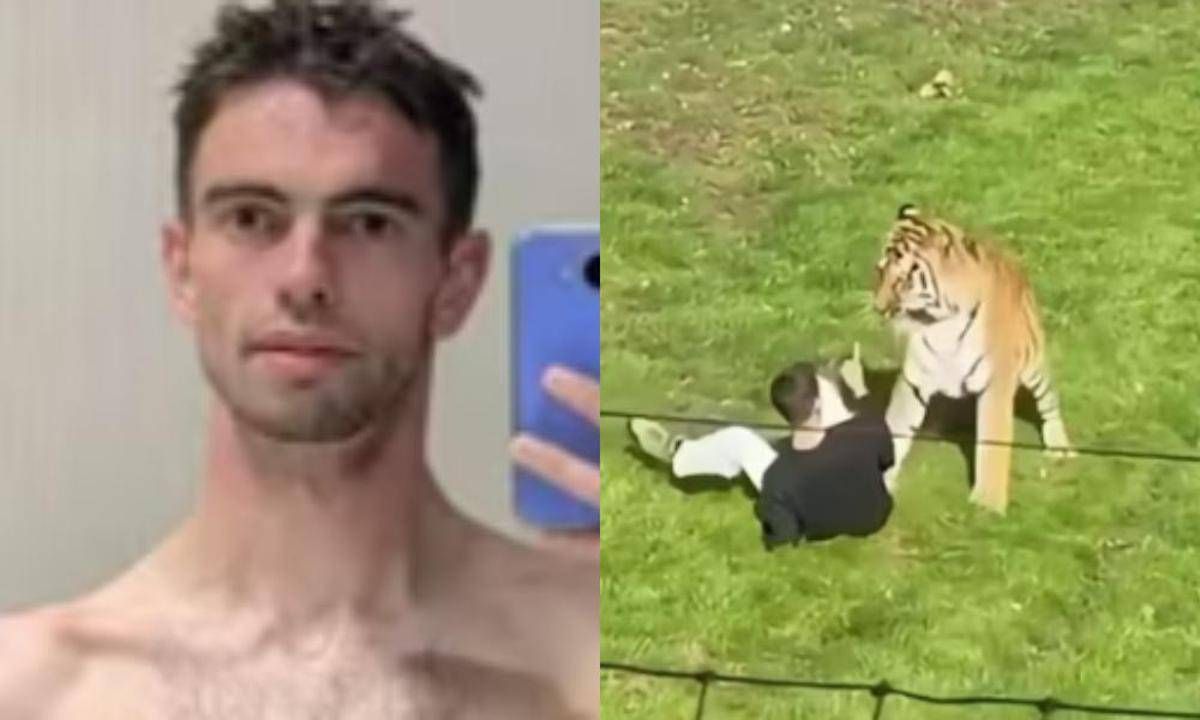 Morto dopo essere stato aggredito da una tigre in un parco, identificata la vittima: chi era William Chapman