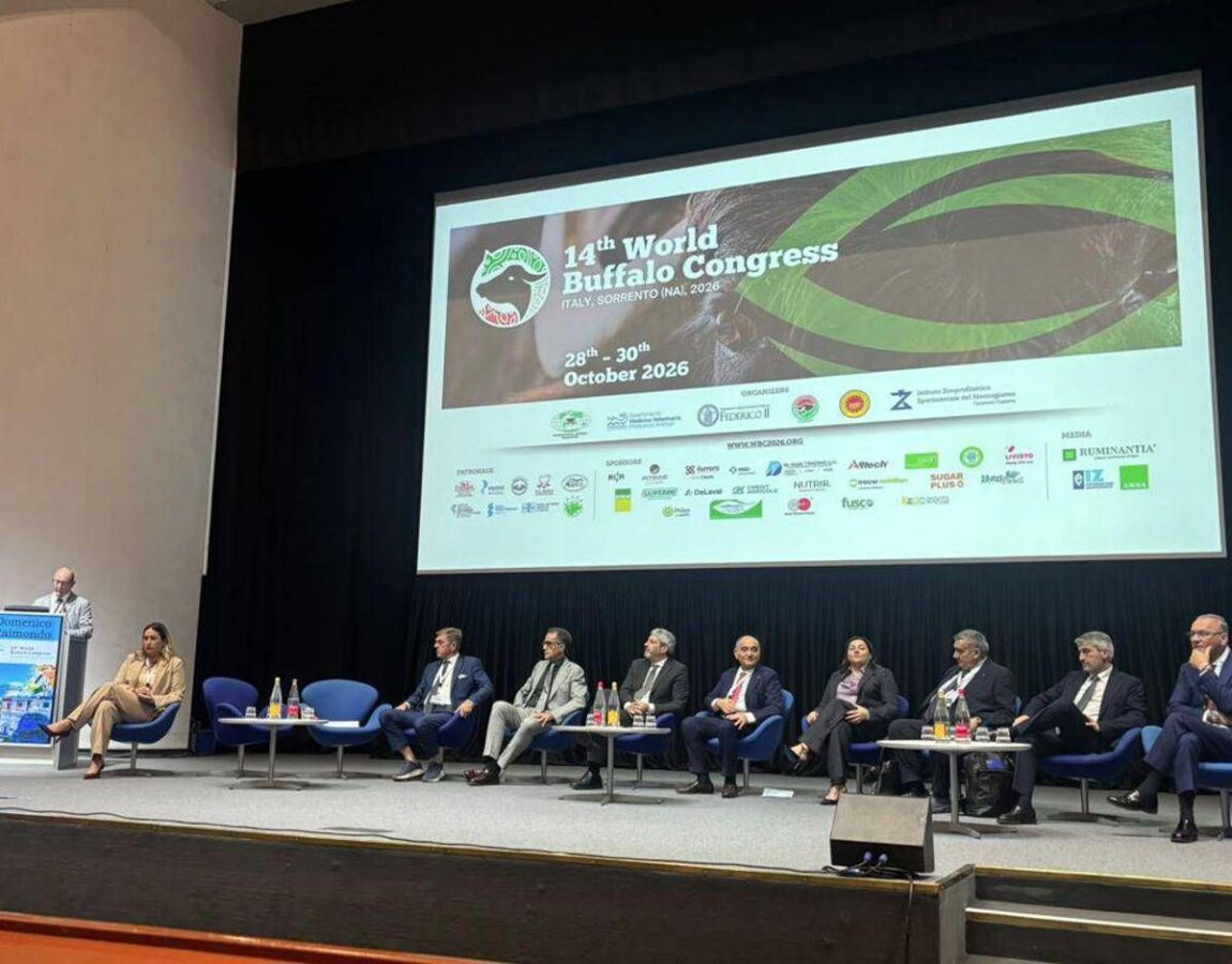 Mozzarella Dop e AI, dal World buffalo congress la road map per il futuro