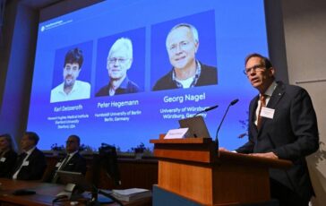 Nobel per la Medicina a Karl Deisseroth Peter Hegemann e Georg Nagel 364x230