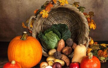 Ora solare dalla zucca ai broccoli fino al melograno i cibi autunnali per ritrovare lequilibrio 364x230