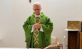 Papa Leone XIV il bollettino del 16 ottobre Costante miglioramento condizioni generali. LAngelus ci sara 265x160
