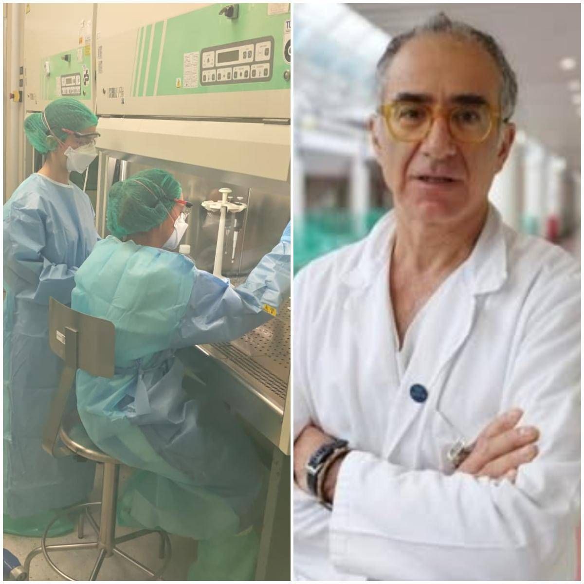 Peste polmonare, Nicastri (Spallanzani): "Non è malattia sconfitta, casi nel mondo ma no allarmismi"