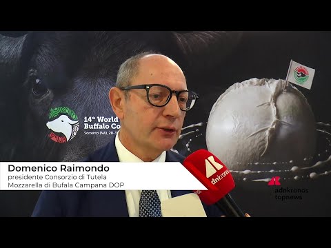 Raimondo (Consorzio Tutela Mozzarella di bufala campana Dop): ""Siamo come cani da tartufo contro i