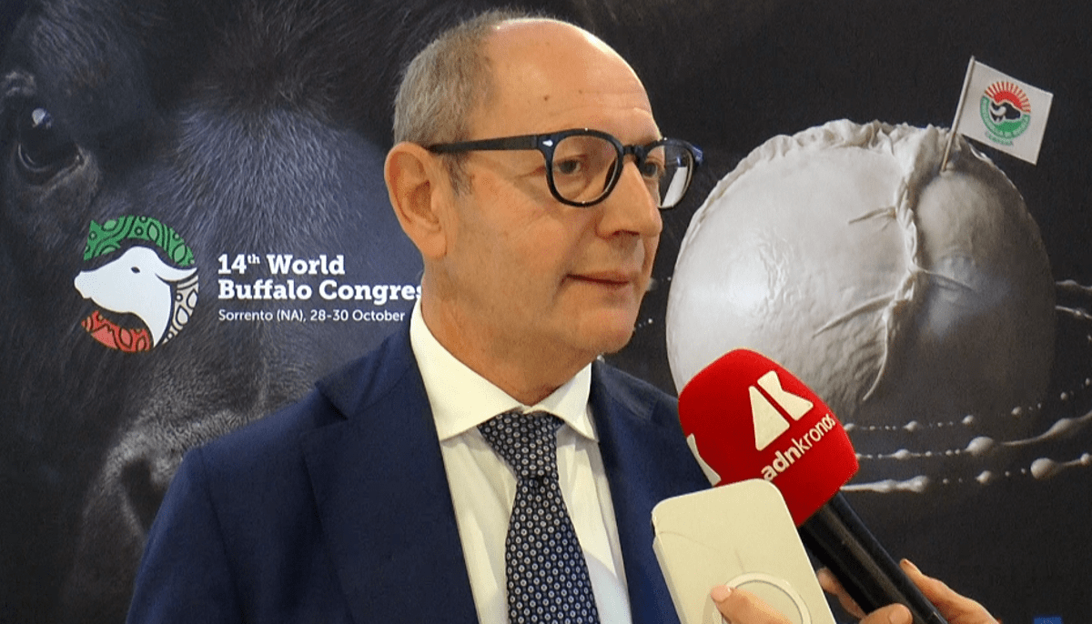Raimondo (Tutela mozzarella bufala campana Dop): "Filiera 1,2-1,3 mld, quasi una Fiat"