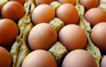 Richiamo uova biologiche per rischio Salmonella lotti e scadenze 364x230