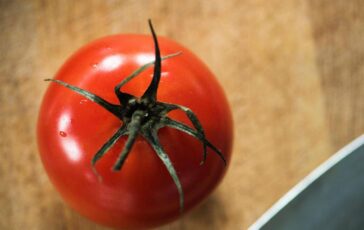 Rischio salmonella a Bari Asl vieta pomodori freschi in mense nidi scuole e Rsa 364x230