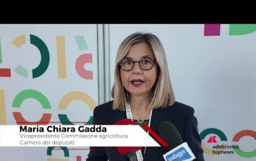 Ristorazione collettiva Gadda Serve una cabina di regia nazionale 364x230
