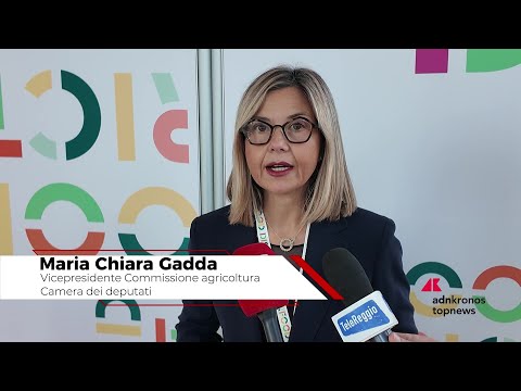 Ristorazione collettiva, Gadda: ""Serve una cabina di regia nazionale""