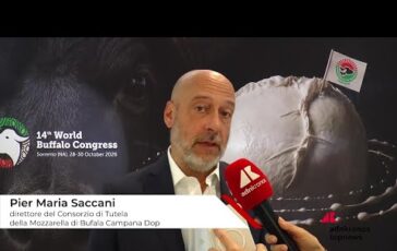 Saccani Consorzio Tutela Mozzarella di bufala campana Dop Aprire allinnovazione per difendere 364x230