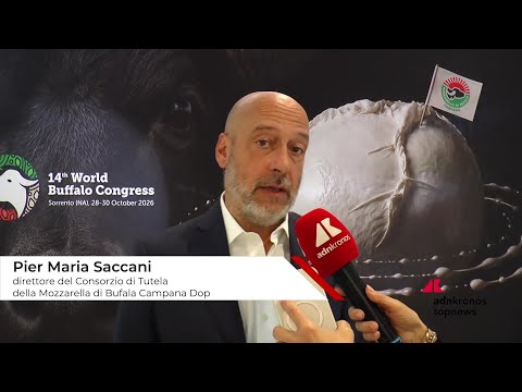 Saccani (Consorzio Tutela Mozzarella di bufala campana Dop): ""Aprire all'innovazione per difendere