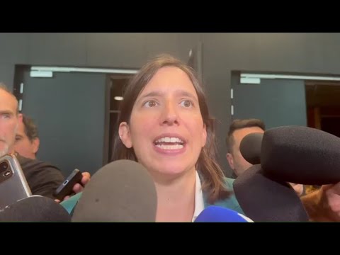 Schlein dice sì a Bonelli e Fratoianni: ""Pd c'è per manifestazione unitaria""