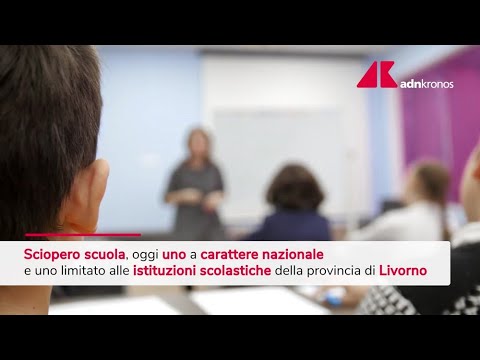 Sciopero della scuola, oggi le manifestazioni - Video
