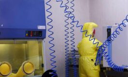 Shamonda virus primo caso umano in Francia cosa sappiamo tutti i rischi 265x160