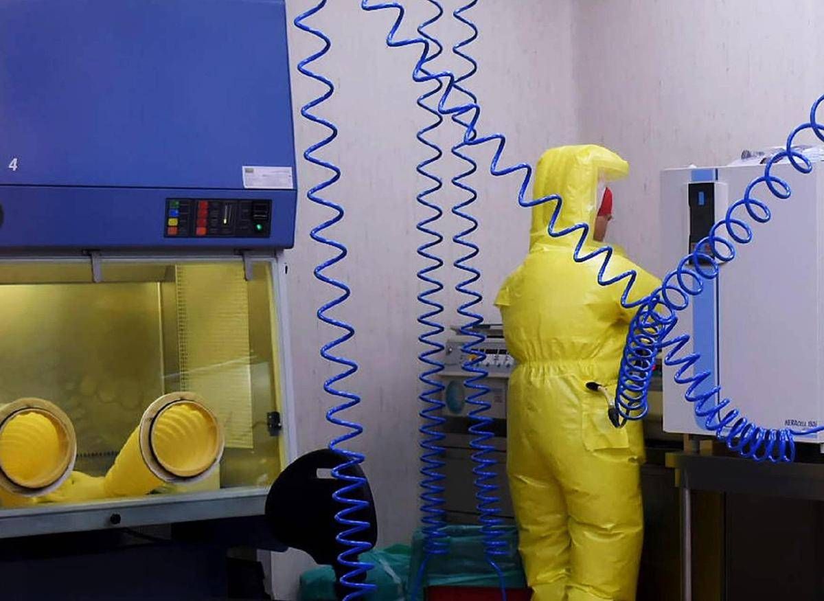 Shamonda virus, primo caso umano in Francia: cosa sappiamo, tutti i rischi