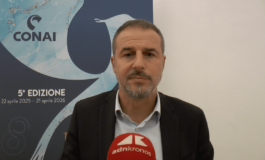 Sostenibilita Insenga Adnkronos Giornalismo ambientale va fatto con competenza e qualita 265x160