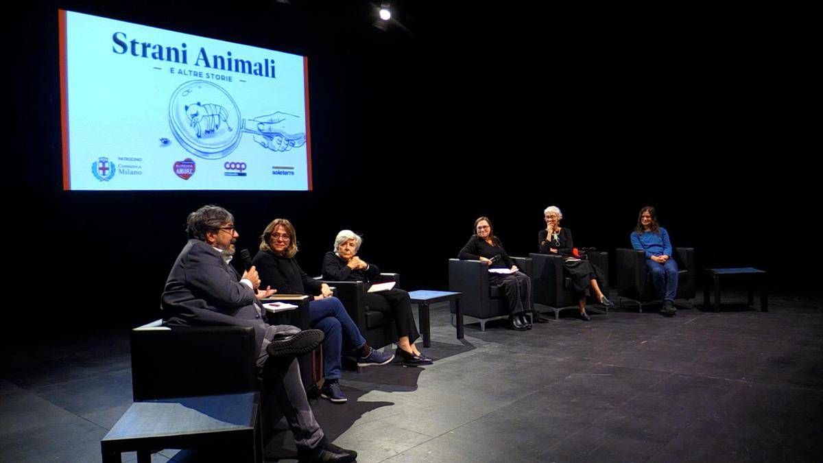 'Strani animali e altre storie', 20 racconti nati dai disegni dei bambini