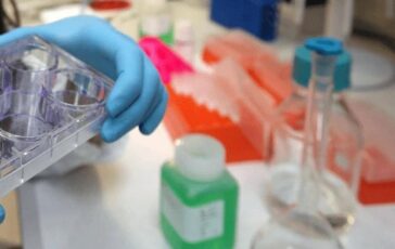 Tumori in Europa mortalita maschile in calo del 78 in Italia 15 mesi per le nuove terapie 364x230