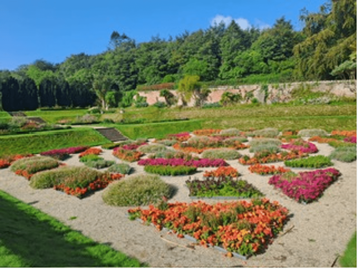 Turismo, in Irlanda del Nord i Walled Gardens svelano storie di dimore nobiliari in parchi lussureggianti