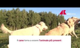 Un italiano su tre vive con un animale da compagnia 265x160