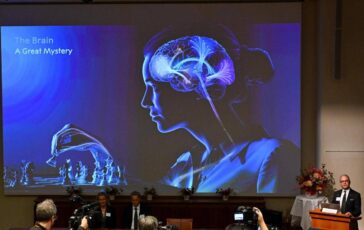 unalga e una luce blu cosi e nata la scoperta che ha vinto il nobel per la medicina 2026 2