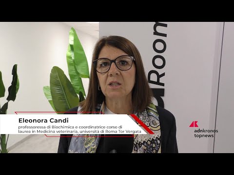 Universitet: Candi (Rome Tor Vergata), "Framtida veterinärer drar nytta av praktisk utbildning"