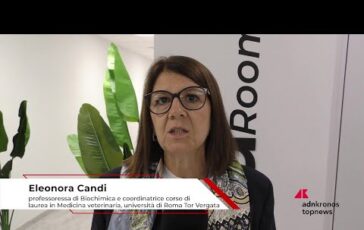 Universita Candi Roma Tor Vergata ‘futuri veterinari avvantaggiati da formazione pratica 364x230