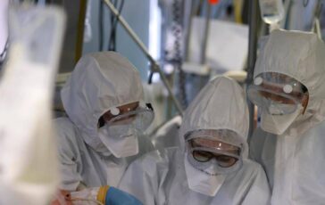 Virus Shamonda no casi umani in Italia attenzione rafforzata la circolare del ministero dell a Salute 364x230