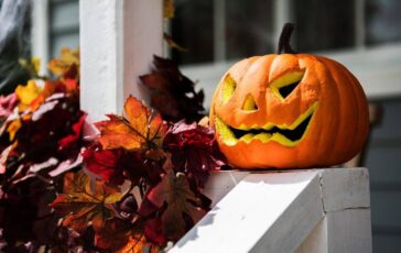 zucca e semi di zucca il lato sorprendente e sano di halloween 2