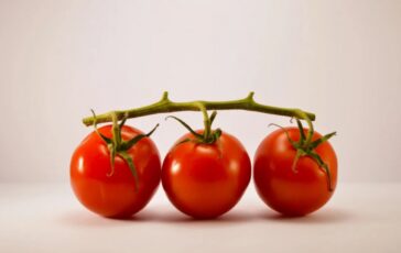 I provvedimenti della Regione Puglia per l'allarme salmonella
