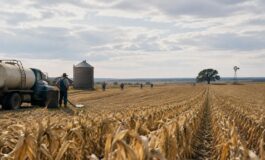 Bilancio da 8 miliardi per compensare il caro diesel agli agricoltori