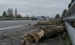 Incidente sull'autostrada A11: gravissima caduta di un operaio a Capannori