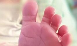 neonato cinisello balsamo