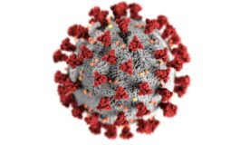 Cosa pensa Bassetti del nuovo virus Shamonda?