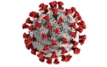 Cosa pensa Bassetti del nuovo virus Shamonda?