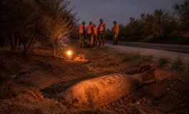 Operazione di sicurezza per la bomba trovata vicino all'Aurelia