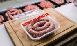 Vassoio di plastica con salsiccia fresca a spirale su tagliere di legno in macelleria, con scritta in sovrimpressione rischio salmonella