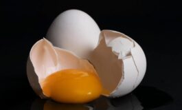 Uova ritirate dai supermercati: rischio Salmonella