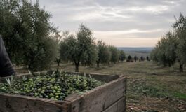آمریکا از اسرائیل خواست خشونت علیه روزنامه‌نگاران را متوقف کند