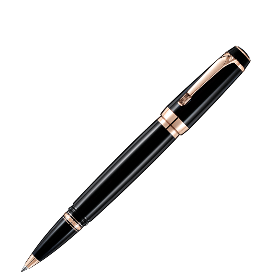 Penna stilografica Mont Blanc usata: prezzo