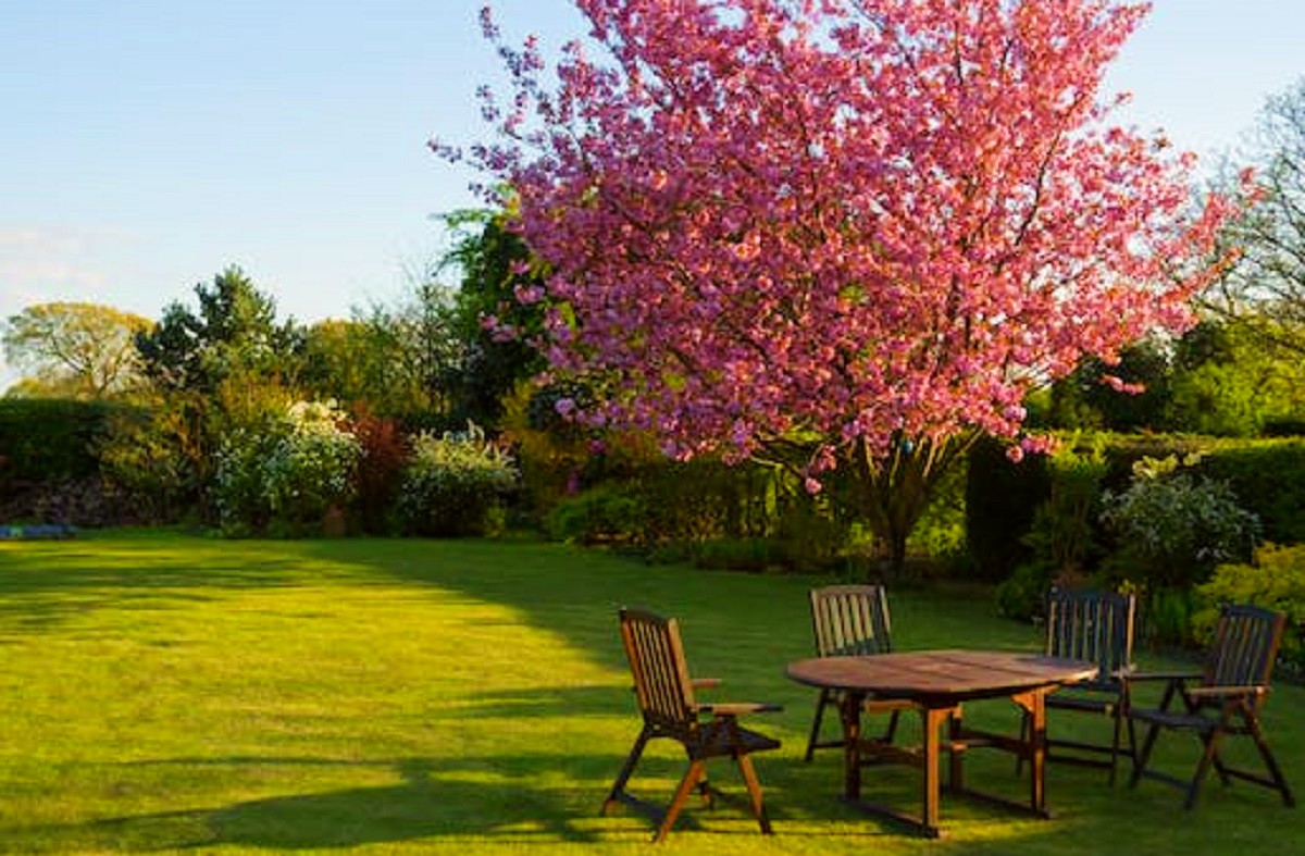 Sedie da giardino in legno: le offerte e i modelli dell’anno