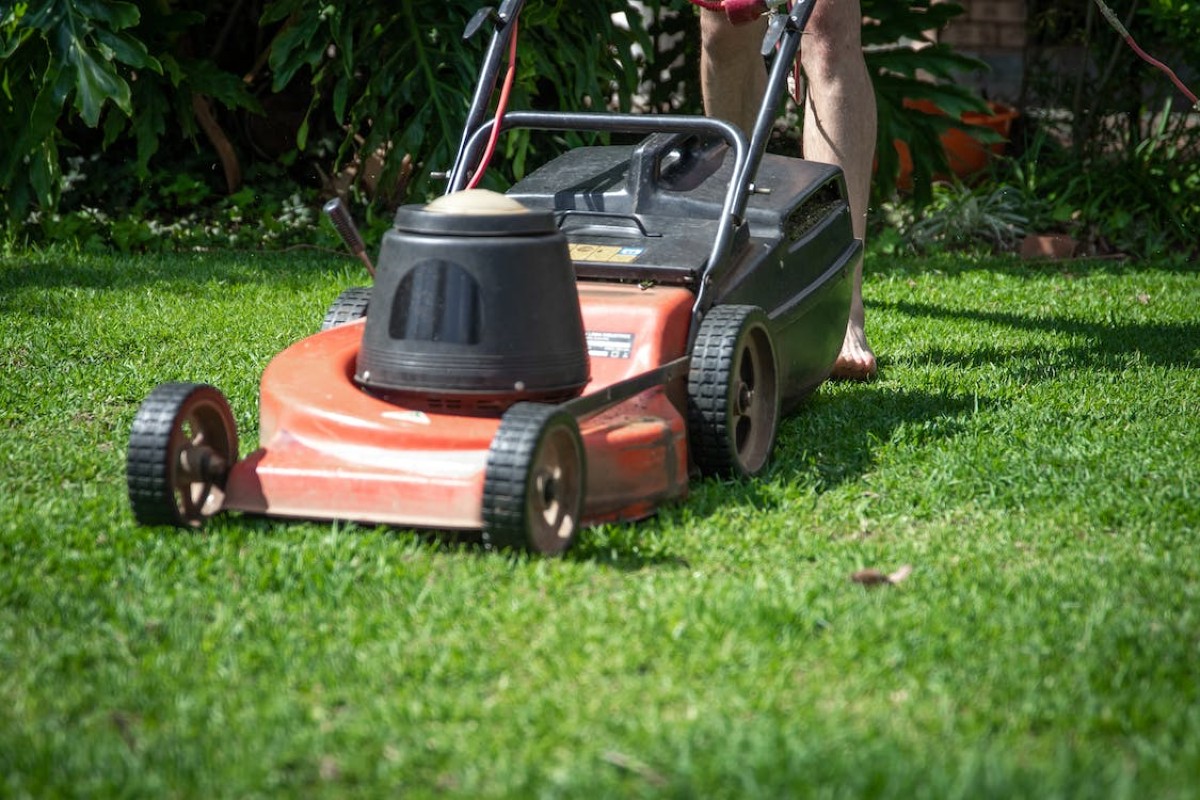 Tagliaerba: i modelli per il giardino