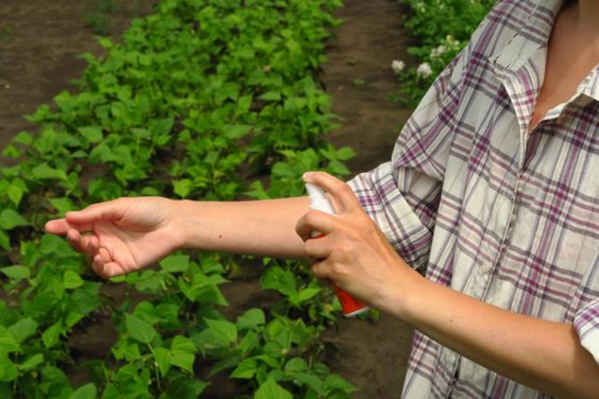Repellente naturale per punture di insetti: come funziona e quale scegliere