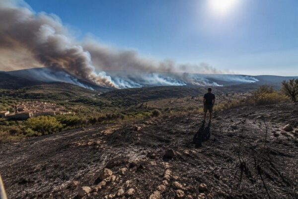 Ferragosto 2026: caldo record e incendi mettono a dura prova l'Italia